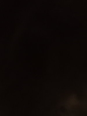 dylanthegooner's Profile Photo