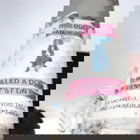 earthnowmusic's Profile Photo