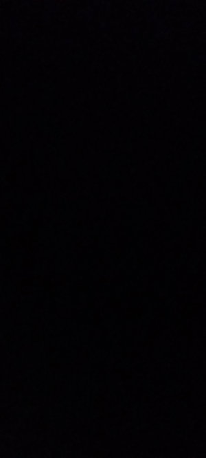 eathan0808's Profile Photo
