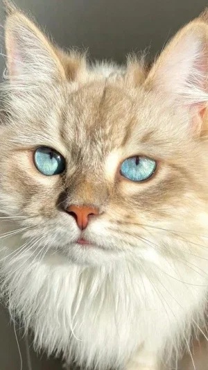 effy, 18 years old from Finland