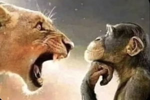 elninao's Profile Photo