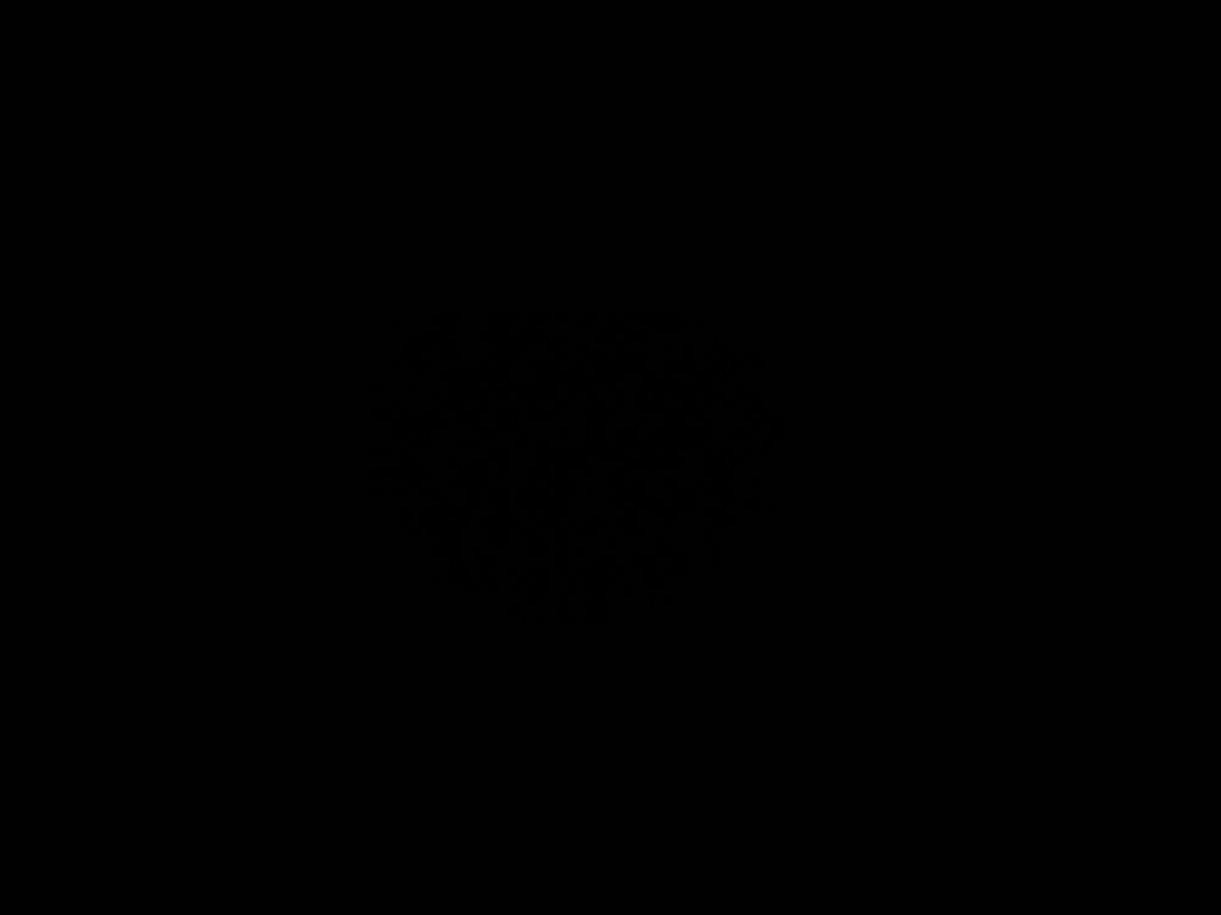 elpepe's Profile Photo