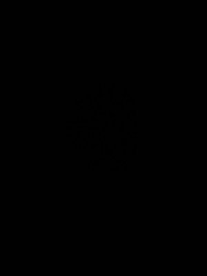 elpepe's Profile Photo
