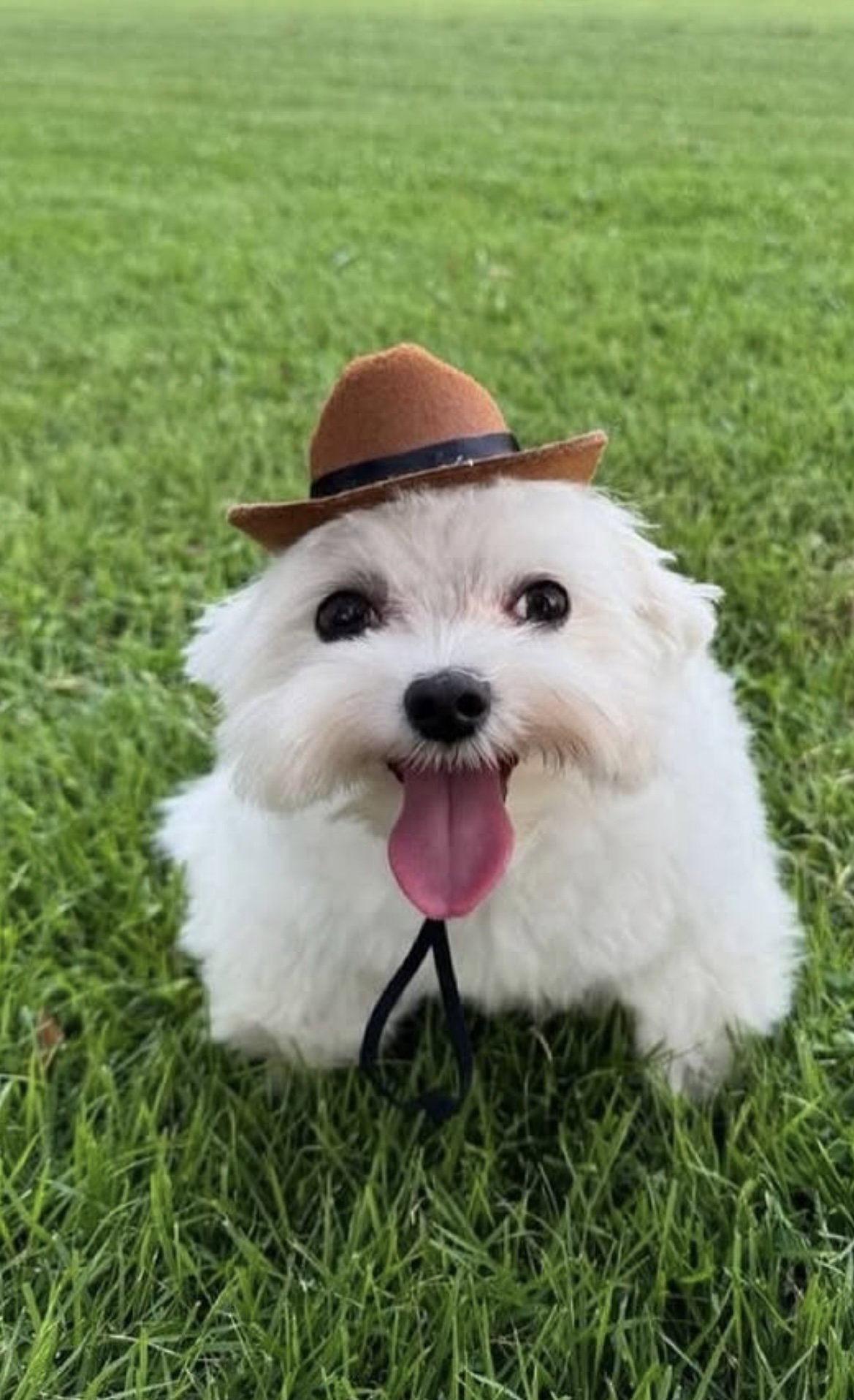 ethanwynters62's Profile Photo