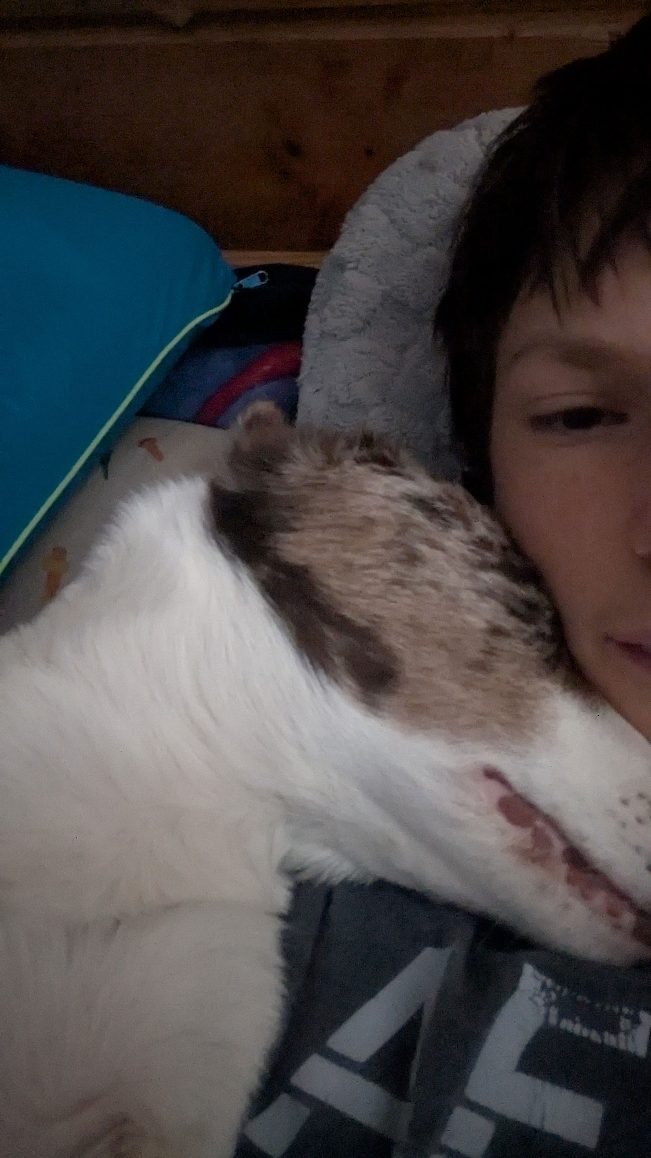 EvanFry1's Profile Photo