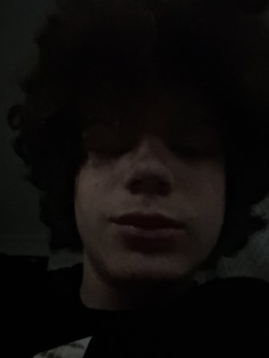 evanzini's Profile Photo