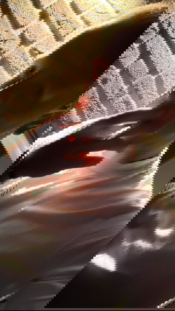 funny_fucker1, 21 years old from Netherlands