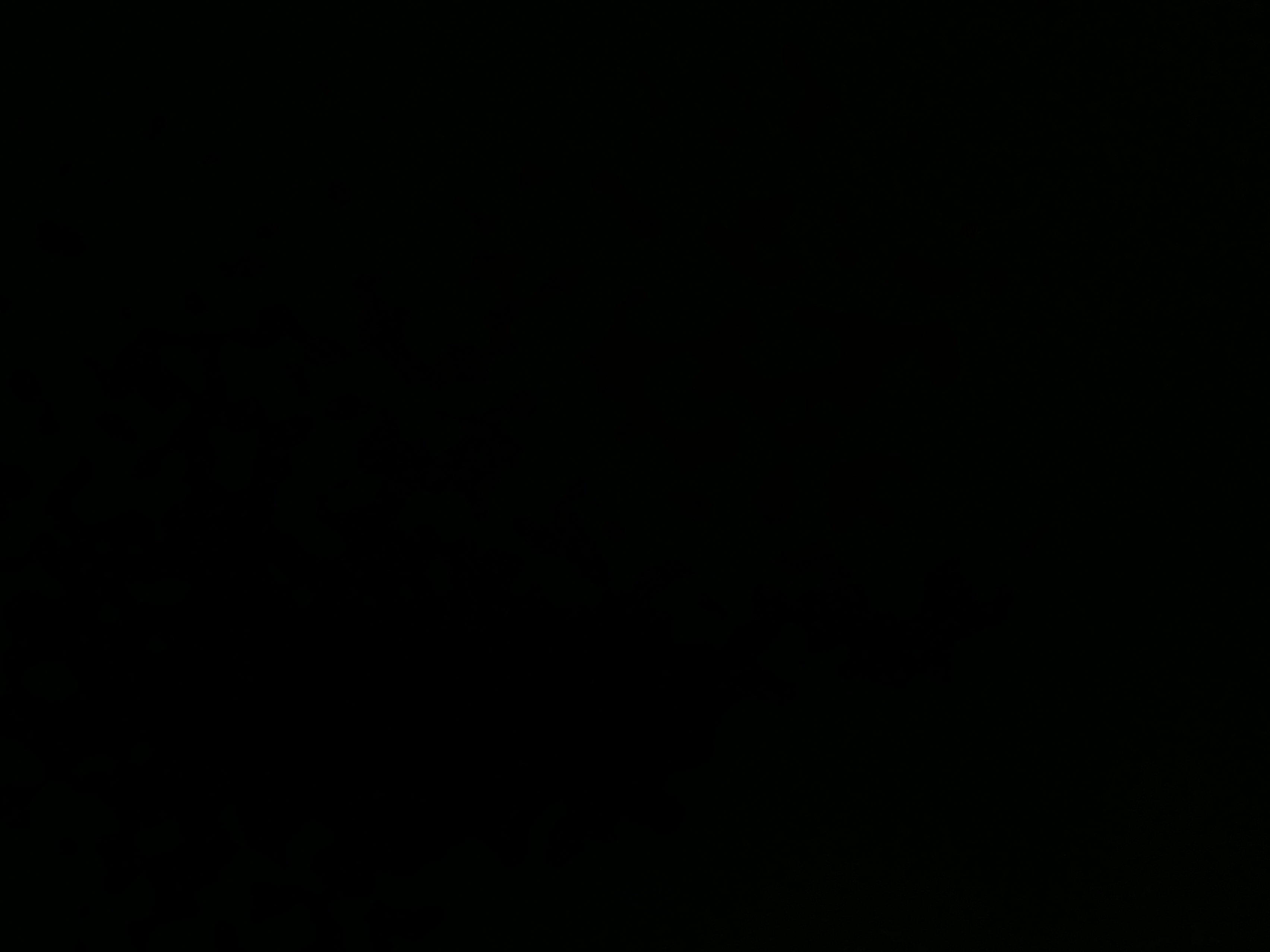 gammererrorcode's Profile Photo