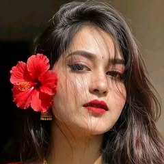 gocohe6694's Profile Photo