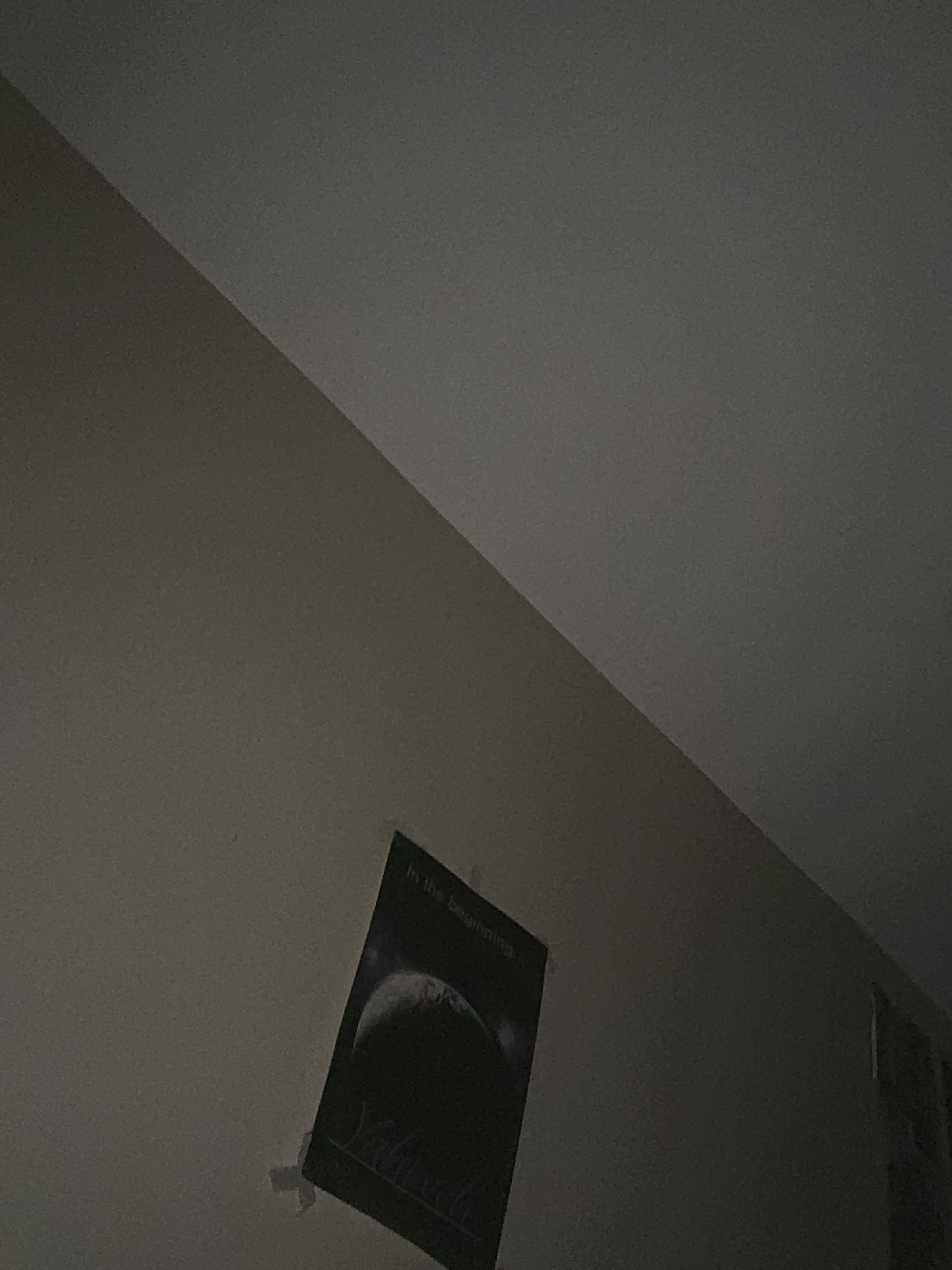 grayrhyneaz's Profile Photo
