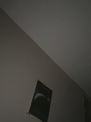 grayrhyneaz's Profile Photo