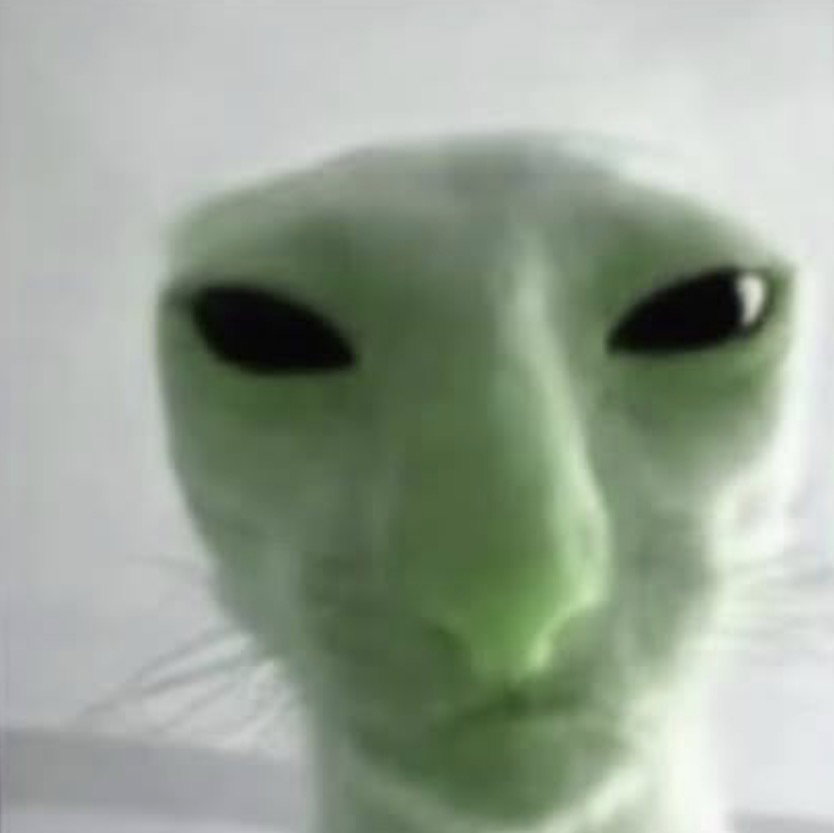 gregoryw927's Profile Photo