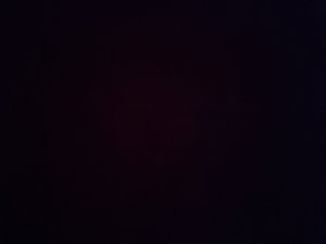 hani44's Profile Photo