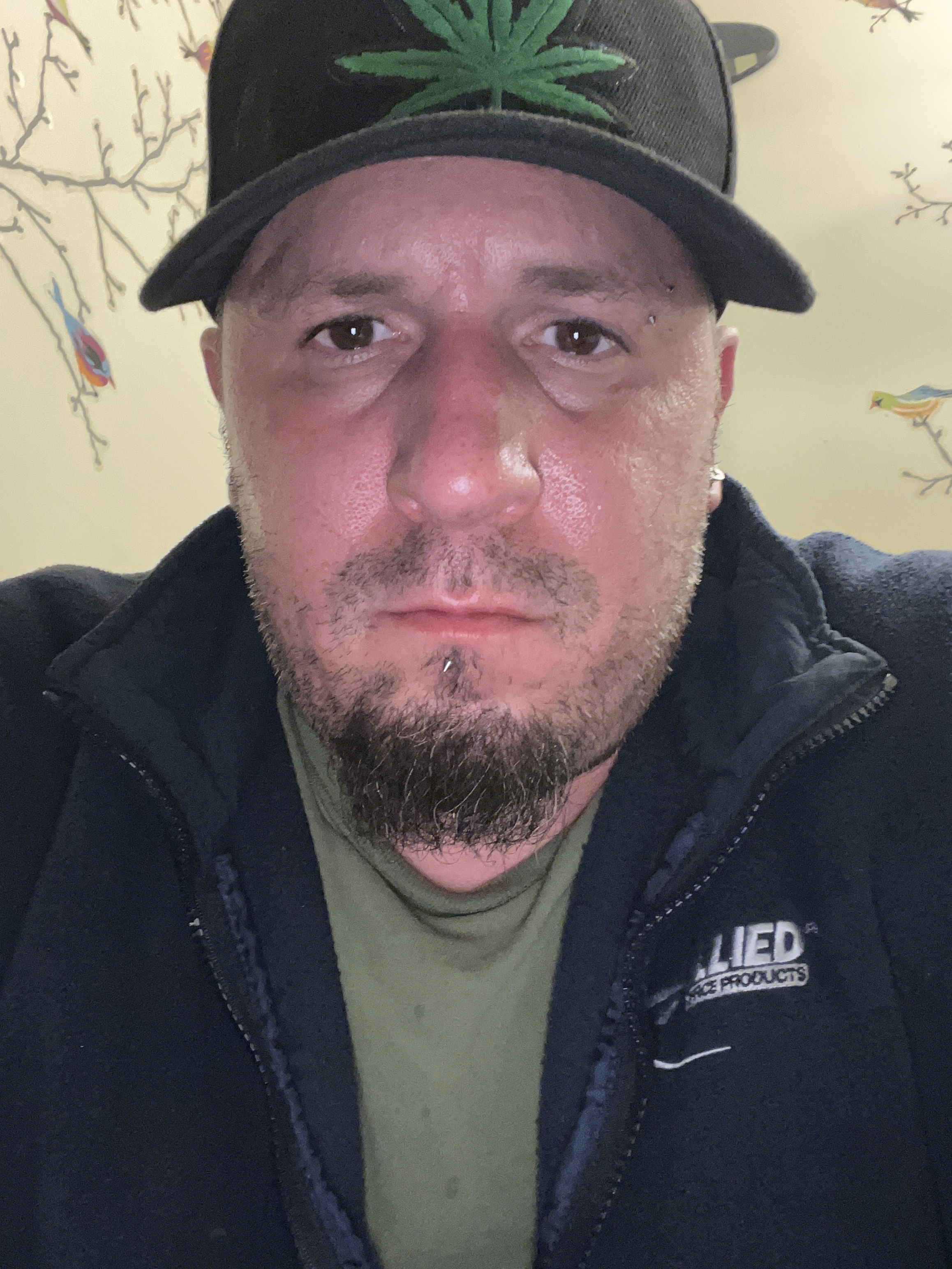 Harp3r's Profile Photo