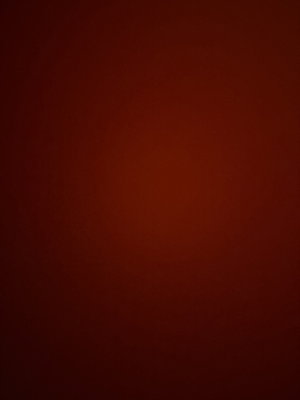 hig38505's Profile Photo
