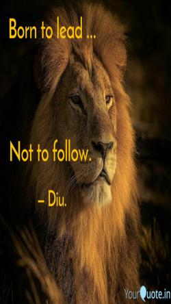 hnav55's Profile Photo