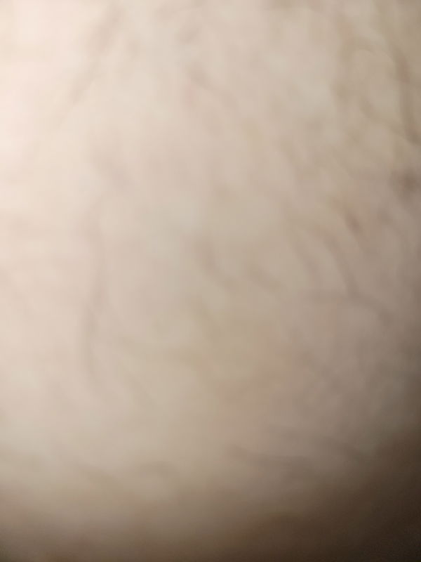 HornyMelon, 21 years old from United States