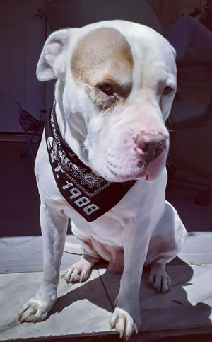 il3934233's Profile Photo