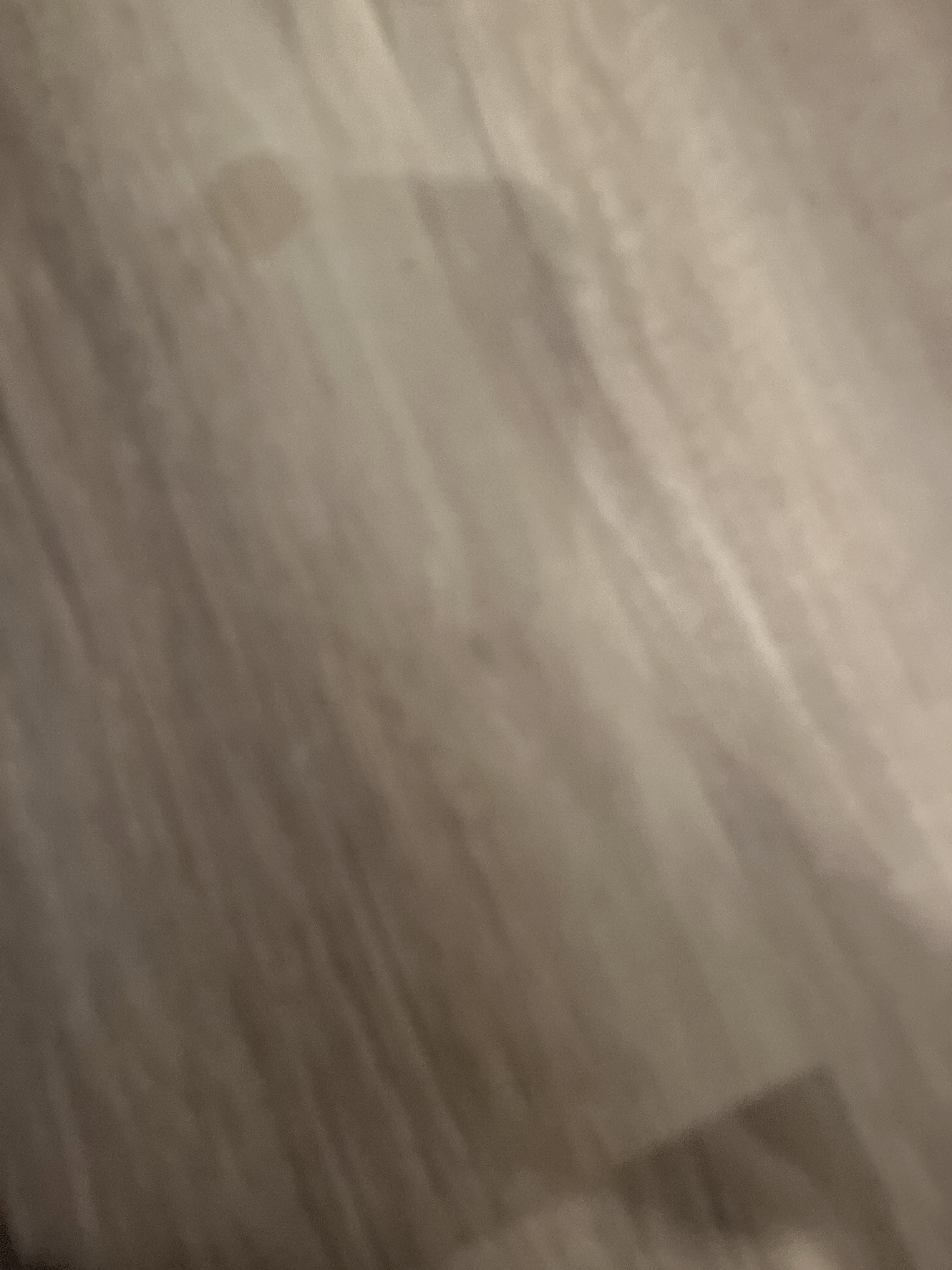 izzero604's Profile Photo