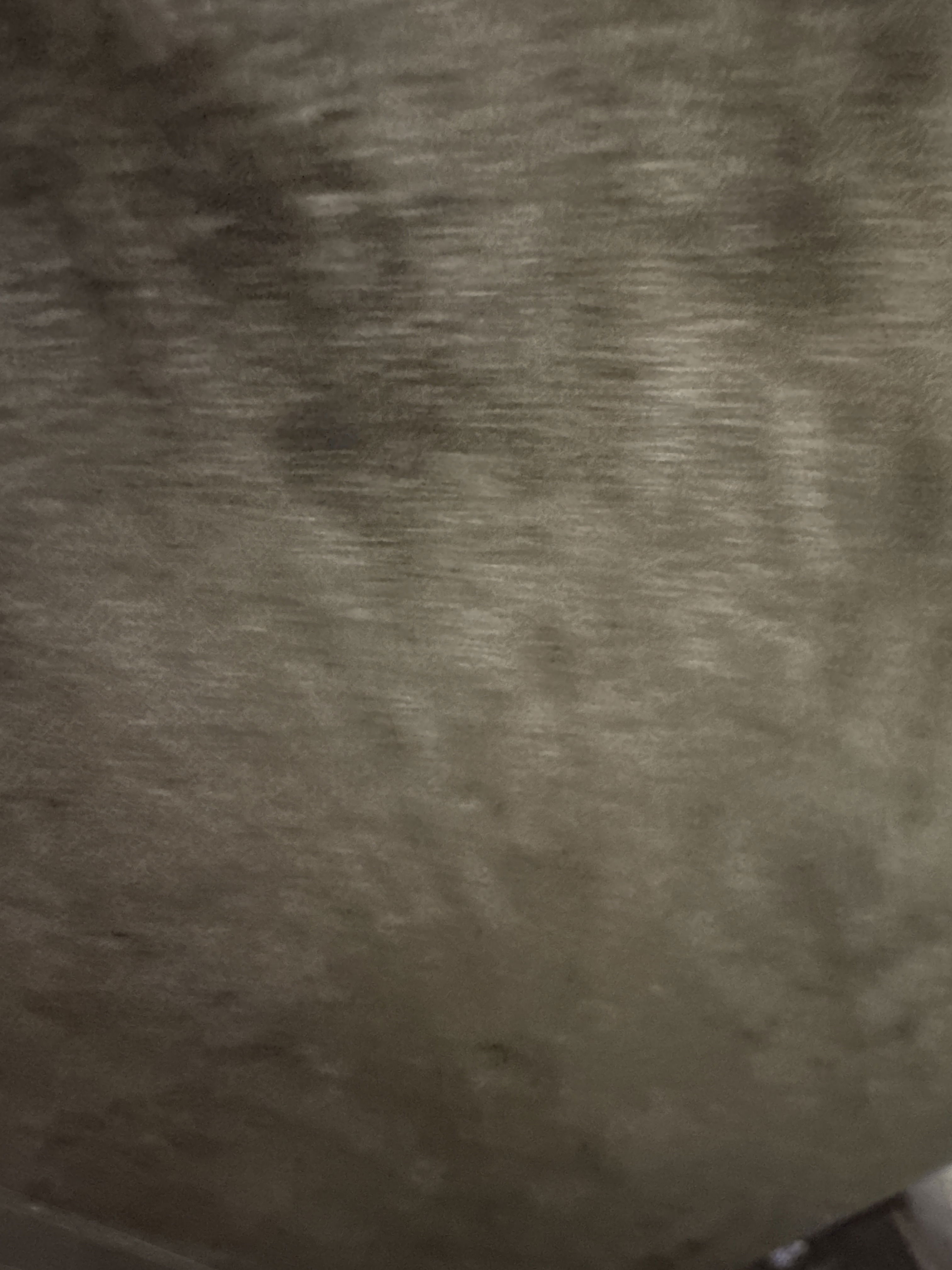 jacktiller02's Profile Photo