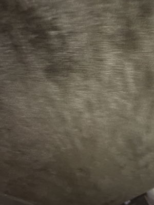 jacktiller02's Profile Photo