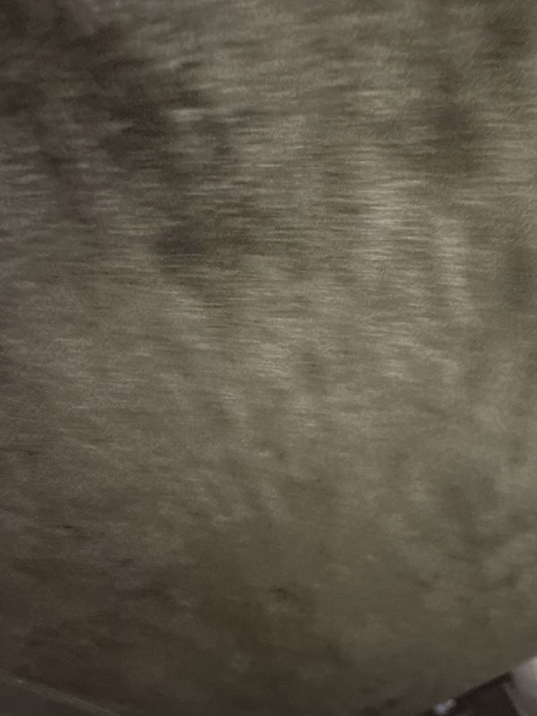 jacktiller02, 23 years old from United States