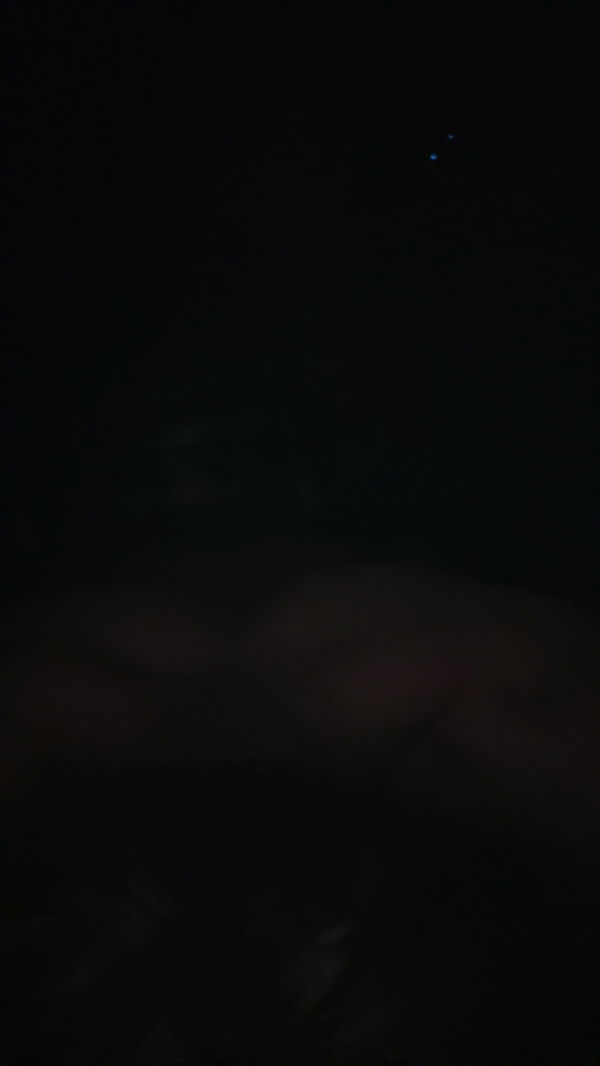 jadynbrown013, 20 years old from United States