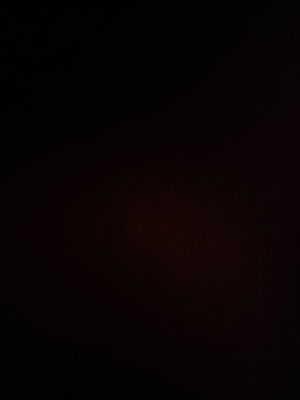 jameselvidge8's Profile Photo