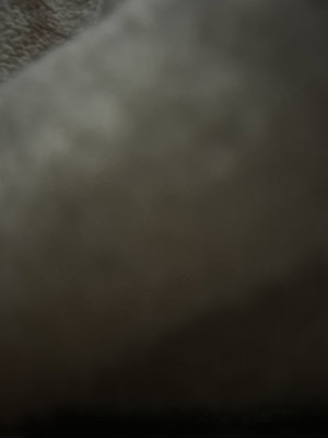 jimbeam's Profile Photo