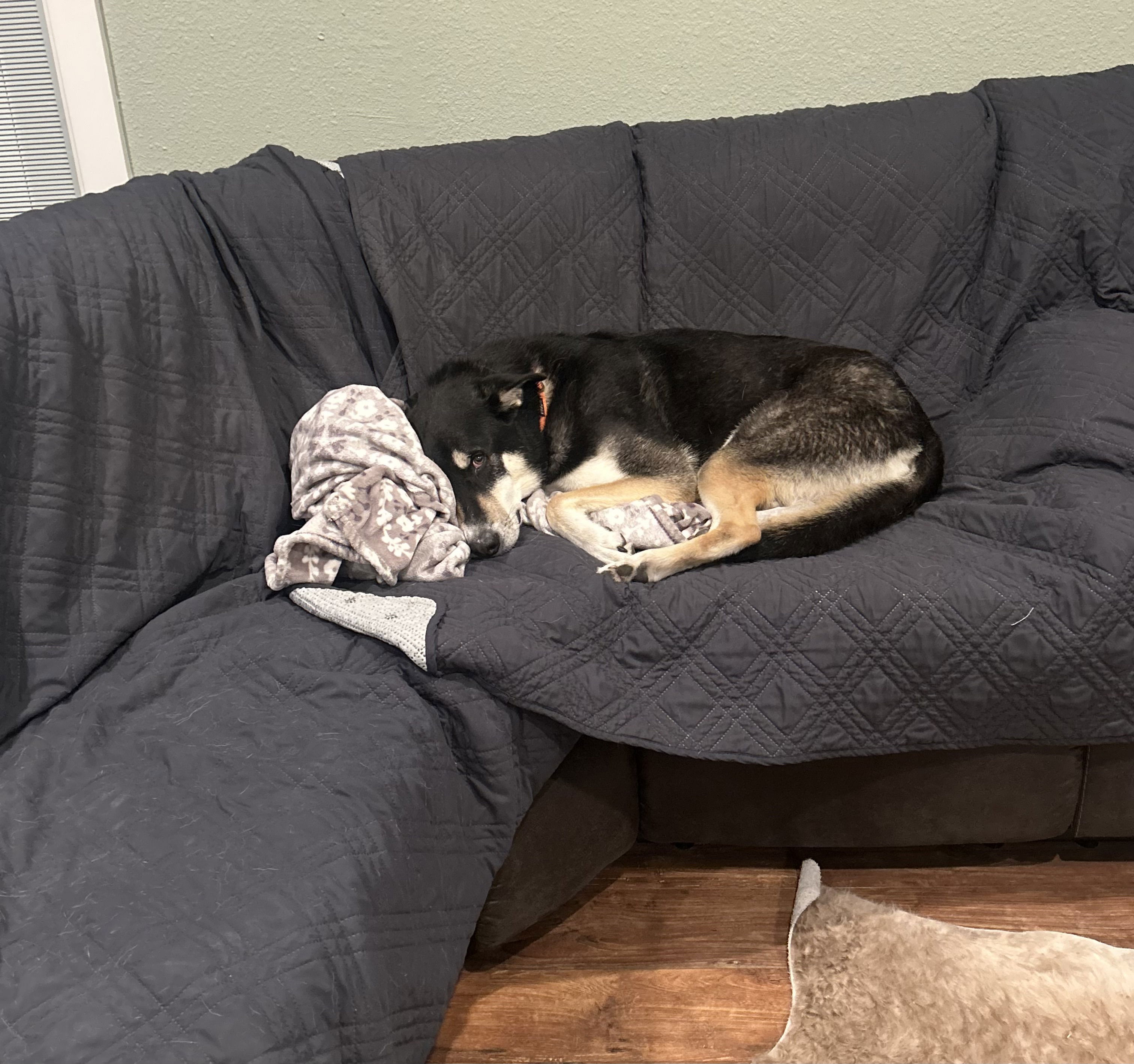 jkmeoffbtch's Profile Photo