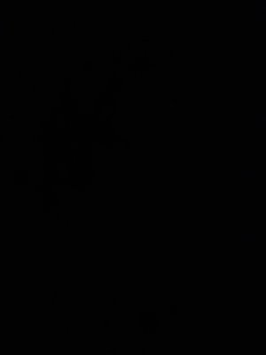 joe12's Profile Photo