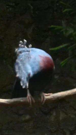 johnathanthegoat's Profile Photo