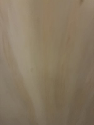 johnxcv27's Profile Photo