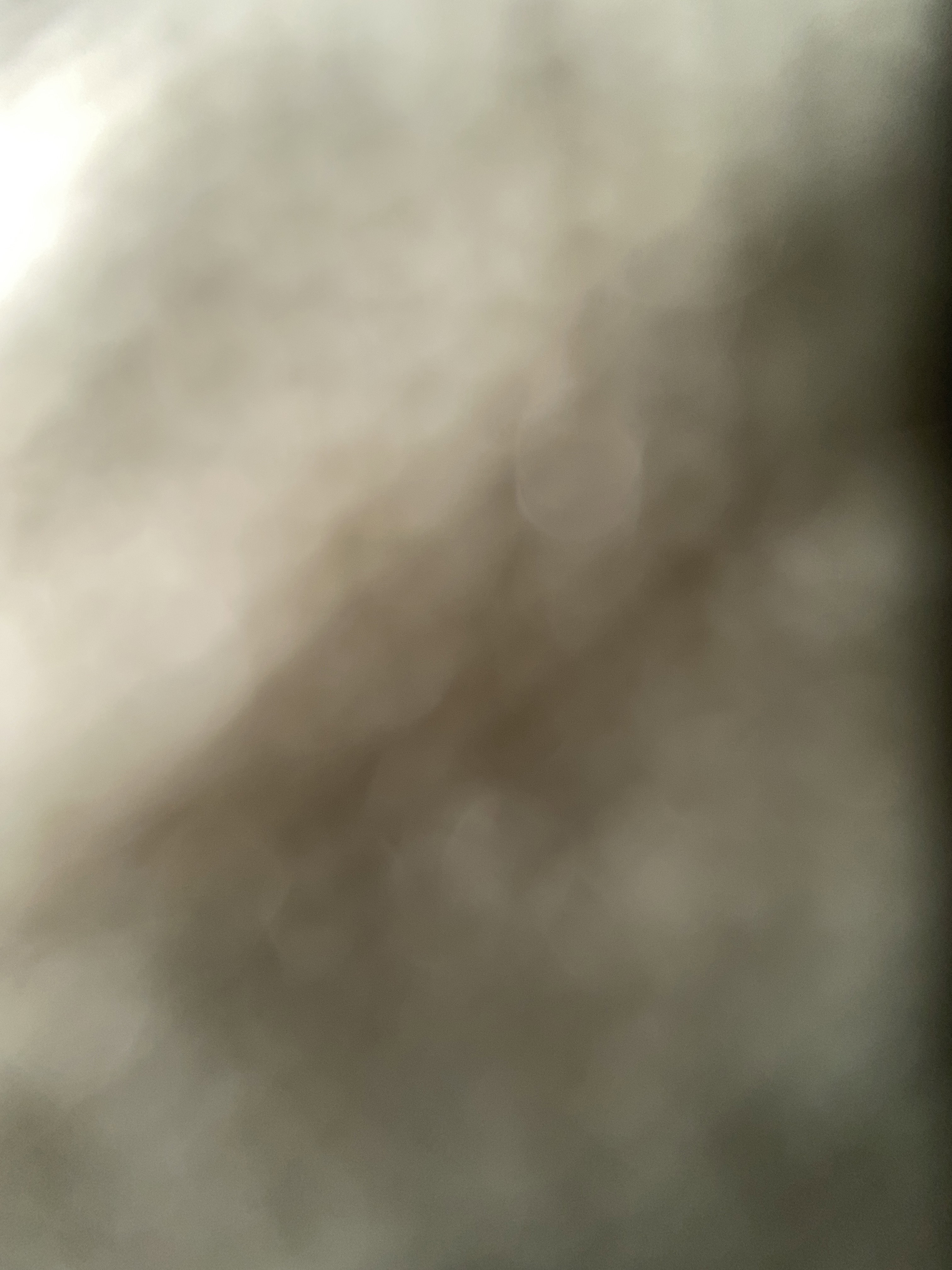 jonmil278's Profile Photo