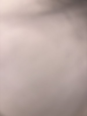 josephraley9573's Profile Photo