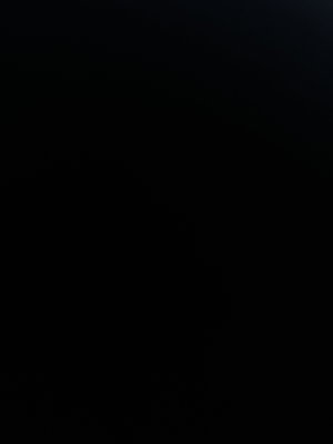 justinjack940's Profile Photo