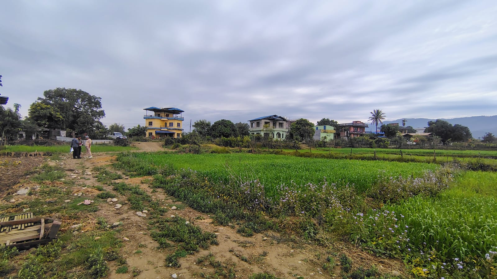 kanchan1990's Profile Photo