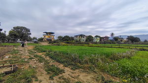 kanchan1990's Profile Photo