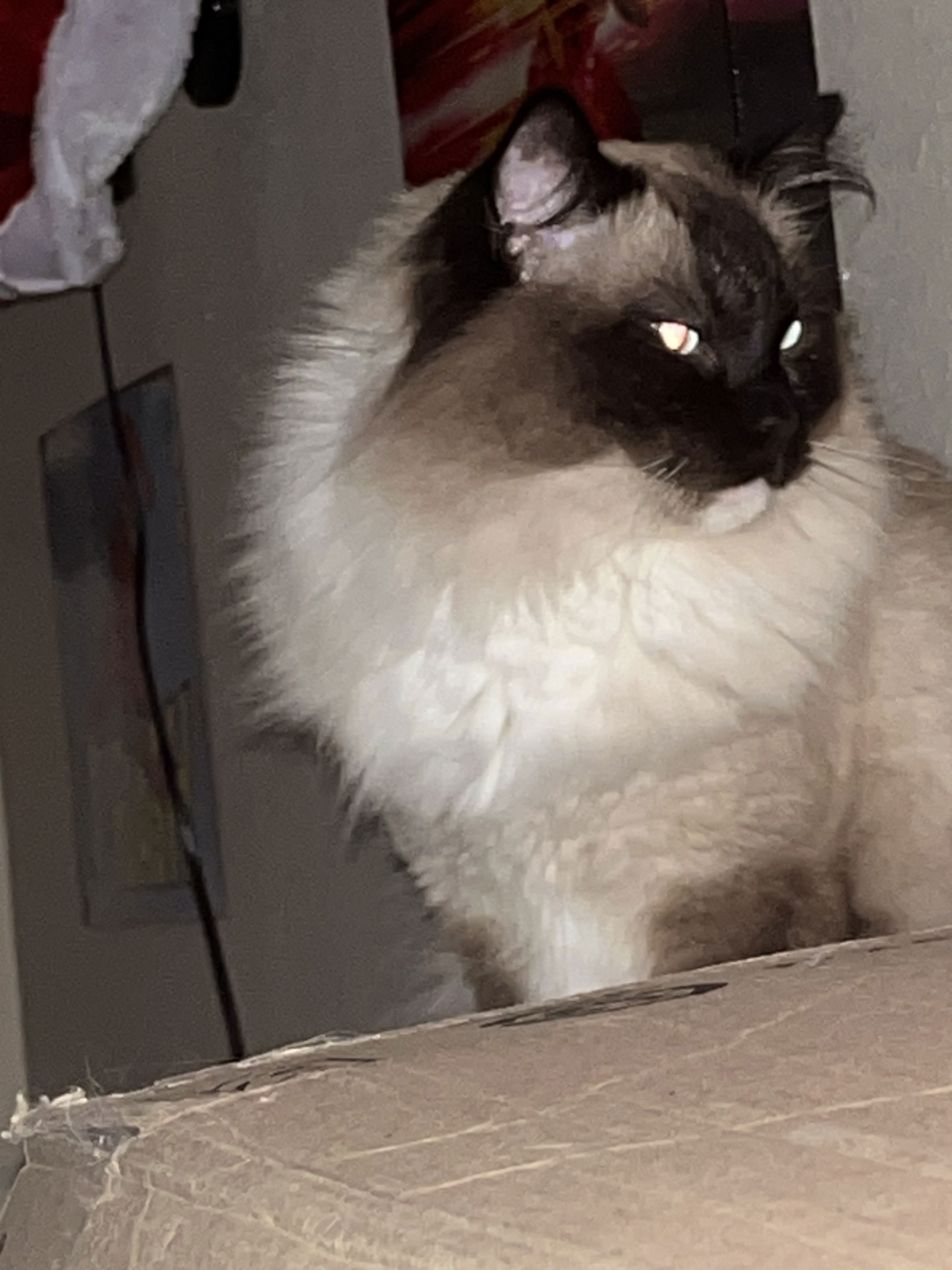 kbrody345's Profile Photo