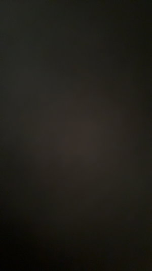 kikiriko's Profile Photo