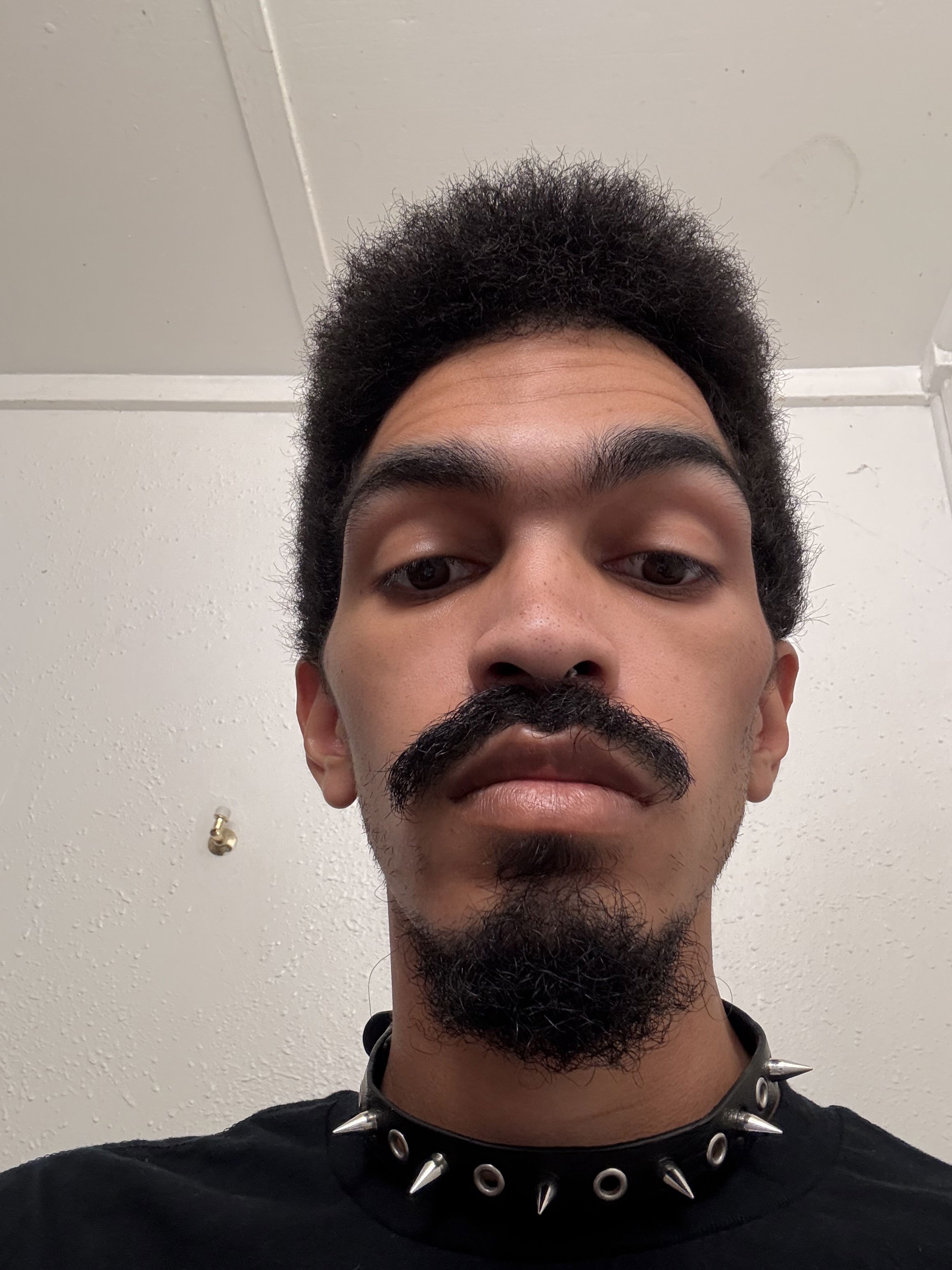 kingzilla21's Profile Photo