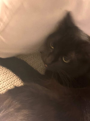 kinky_lov3's Profile Photo