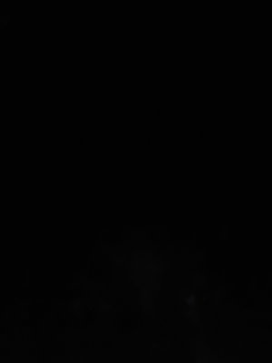 kk783's Profile Photo