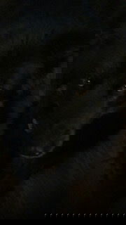 kowen5151, 19 years old from United States