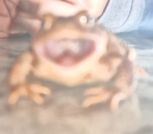 kylemattews23's Profile Photo