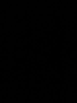 lakhderattallah's Profile Photo