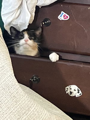 lawbornleader's Profile Photo