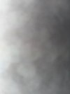 leehig10