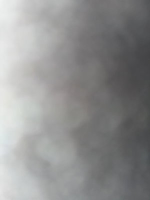 leehig10's Profile Photo