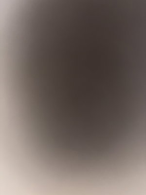 leo_baq's Profile Photo